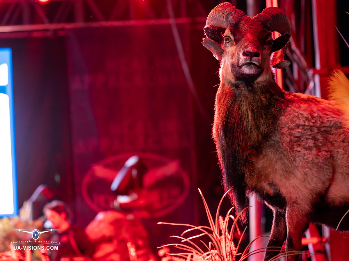 An enigmatic ram statue on the Healing Appalachia stage, spotlighted in red.
