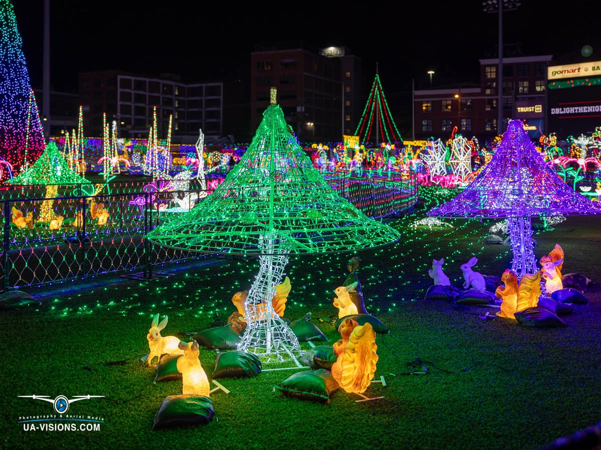 Captured by UA-Visions, this image of a luminous forest display at Charleston's Light the Night event brings the magic of the holidays to life. It’s a celebration of light, color, and holiday spirit.