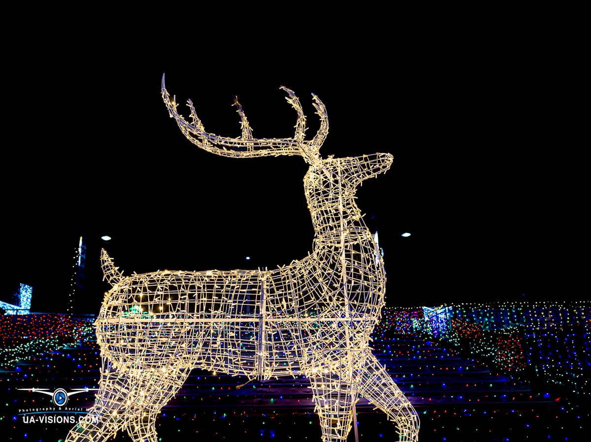 UA-Visions presents a striking image of a holiday deer, constructed entirely of lights, standing tall at Charleston's Light the Night, symbolizing the grace and beauty of the season.