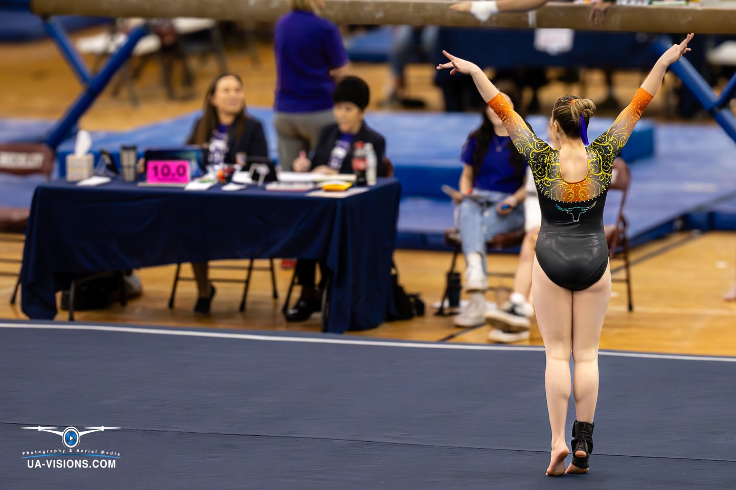 2024 West Virginia State Gymnastics Meet by UA-Visions