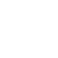 Charleston Almost Heaven White Logo