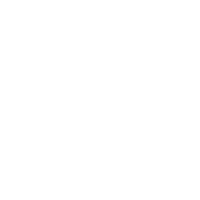 City of Nitro White Logo