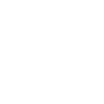 FlyGuys White Logo