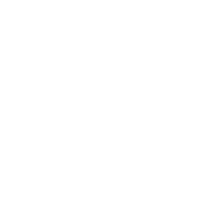 FlyGuys White Logo