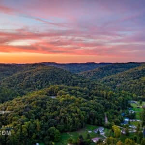 An aerial view captures a dense forest bathed in the warm glow of a sunset. The landscape showcases a rich tapestry of trees reaching towards the horizon, offering a tranquil and breathtaking vista.