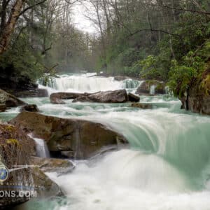 Rushing green waters of Deckers Creek Falls flowing over rocky terrain surrounded by lush West Virginia forest.